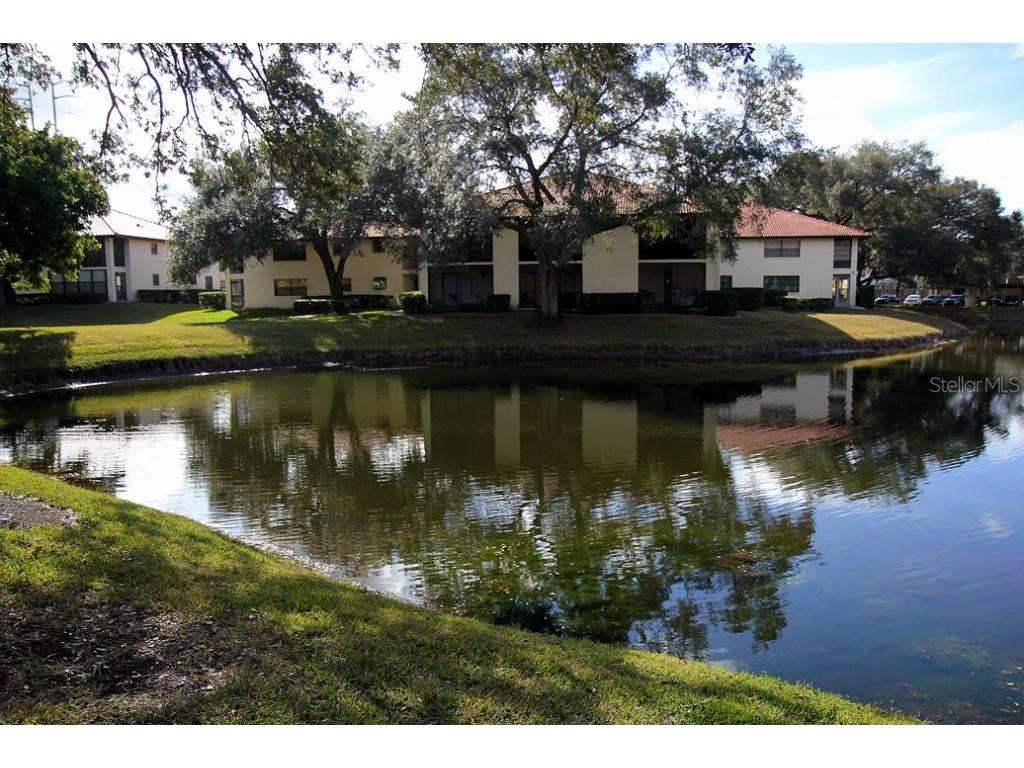 704 Hammock Pine Boulevard #704 Clearwater FL 33761 TB8487177 image35
