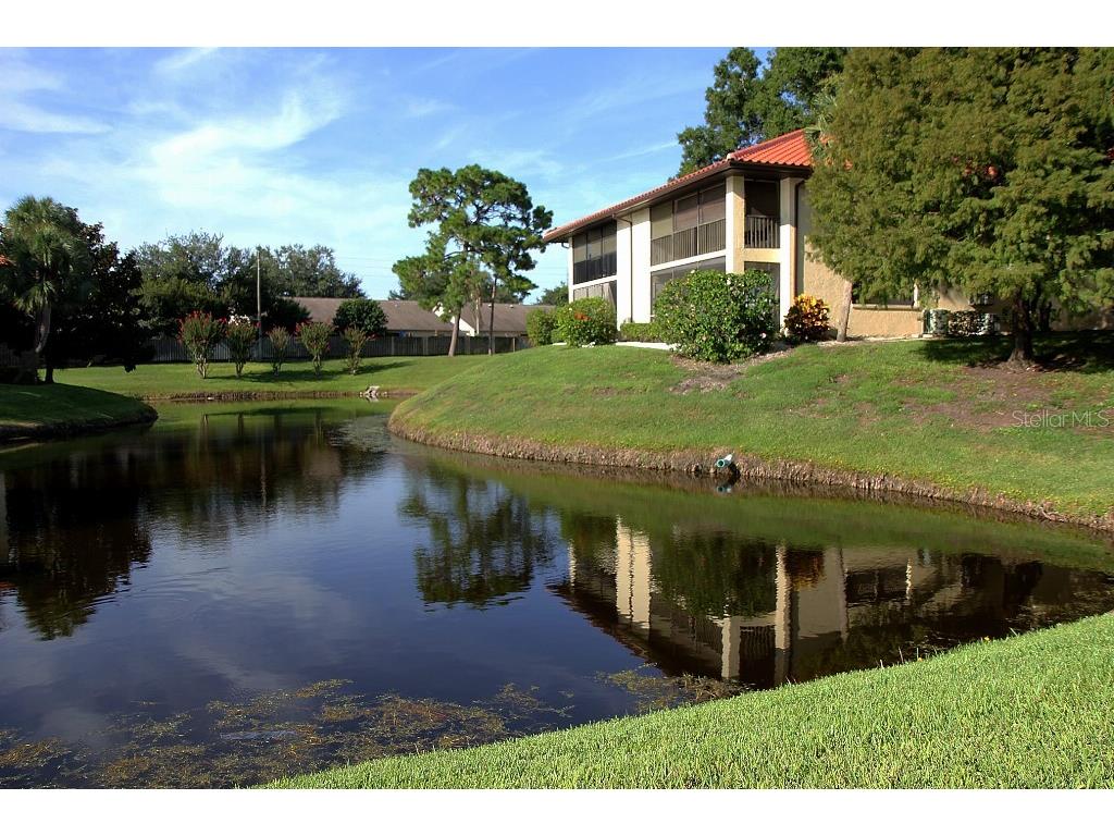 704 Hammock Pine Boulevard #704 Clearwater FL 33761 TB8487177 image36