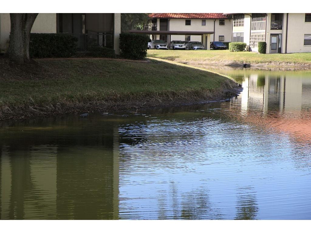 704 Hammock Pine Boulevard #704 Clearwater FL 33761 TB8487177 image37