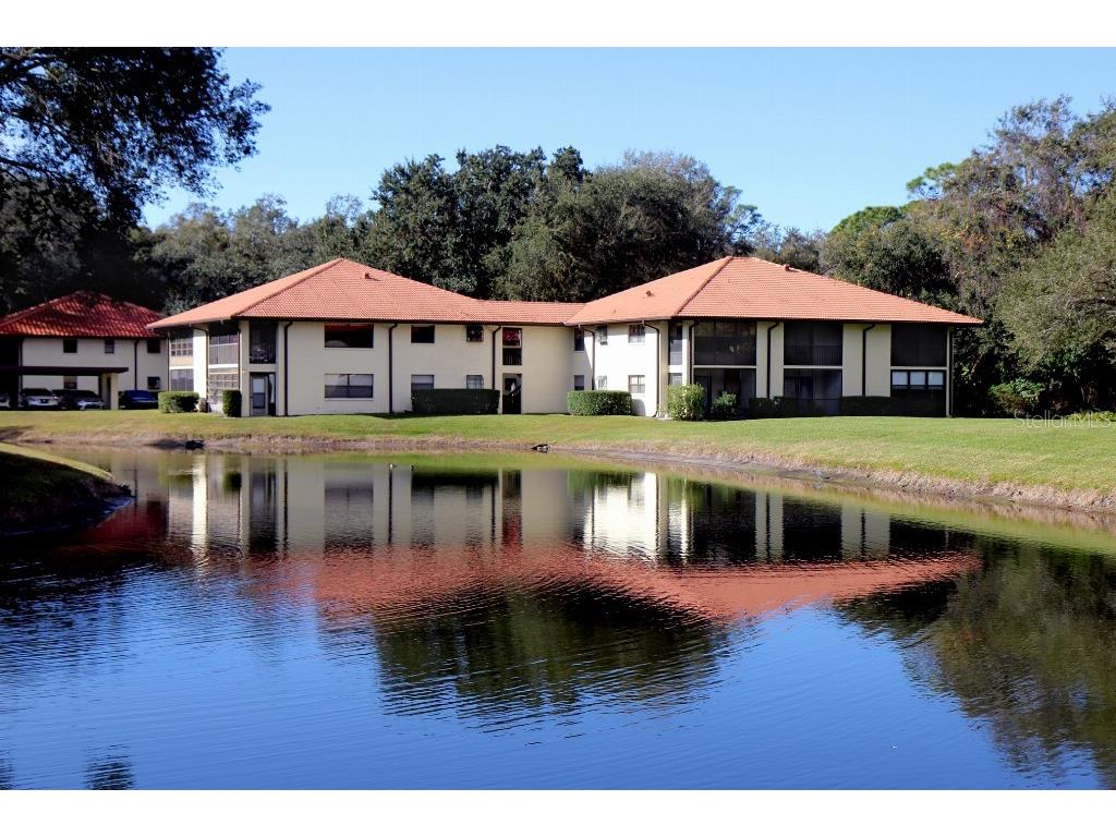 704 Hammock Pine Boulevard #704 Clearwater FL 33761 TB8487177 image38
