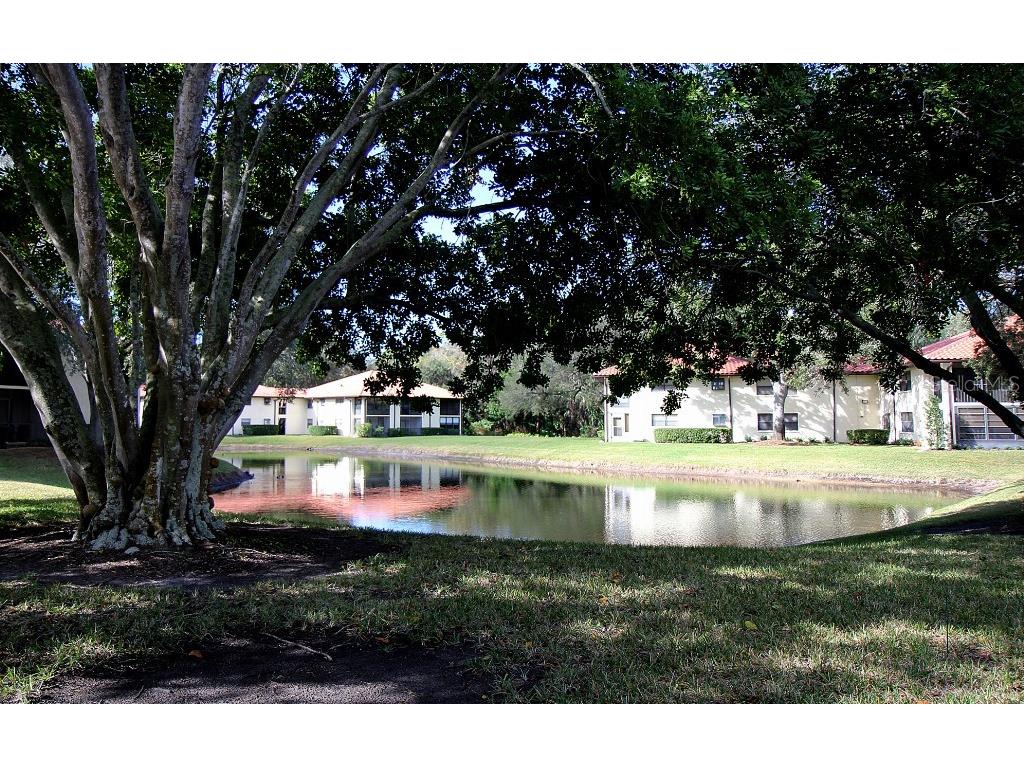704 Hammock Pine Boulevard #704 Clearwater FL 33761 TB8487177 image39