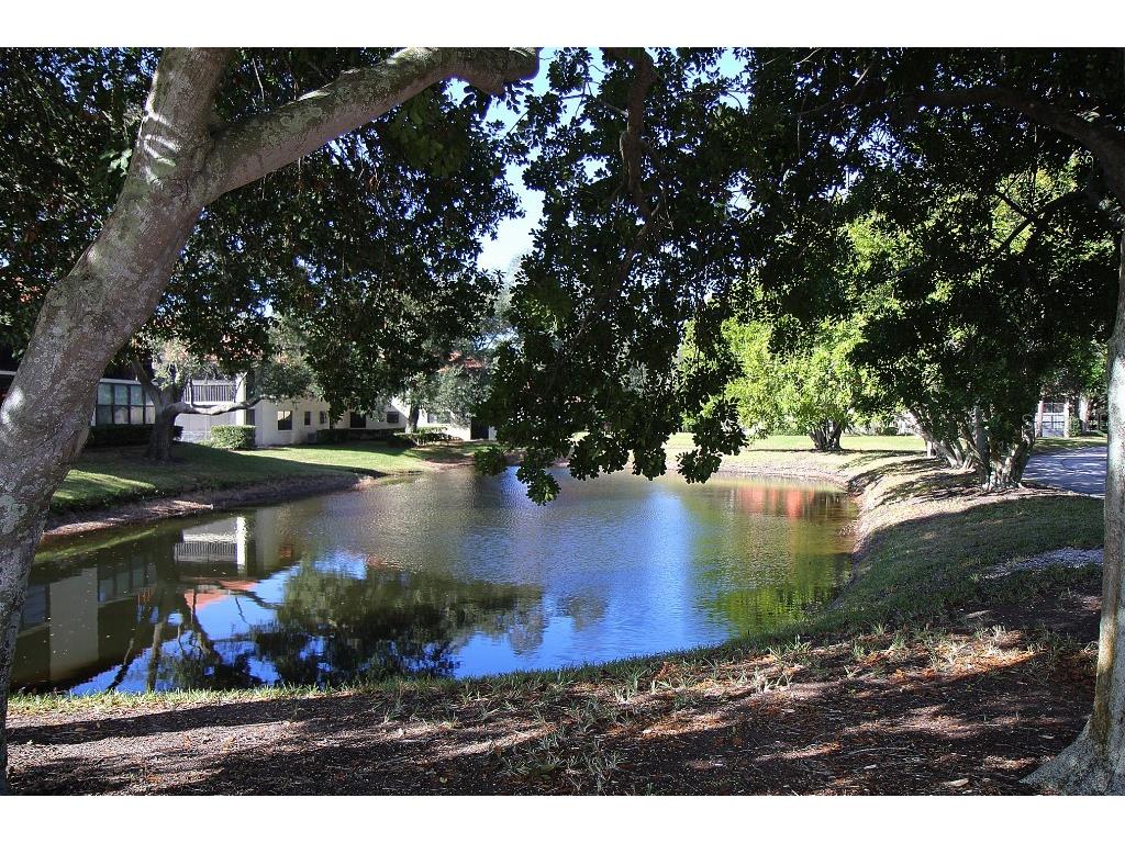 704 Hammock Pine Boulevard #704 Clearwater FL 33761 TB8487177 image40