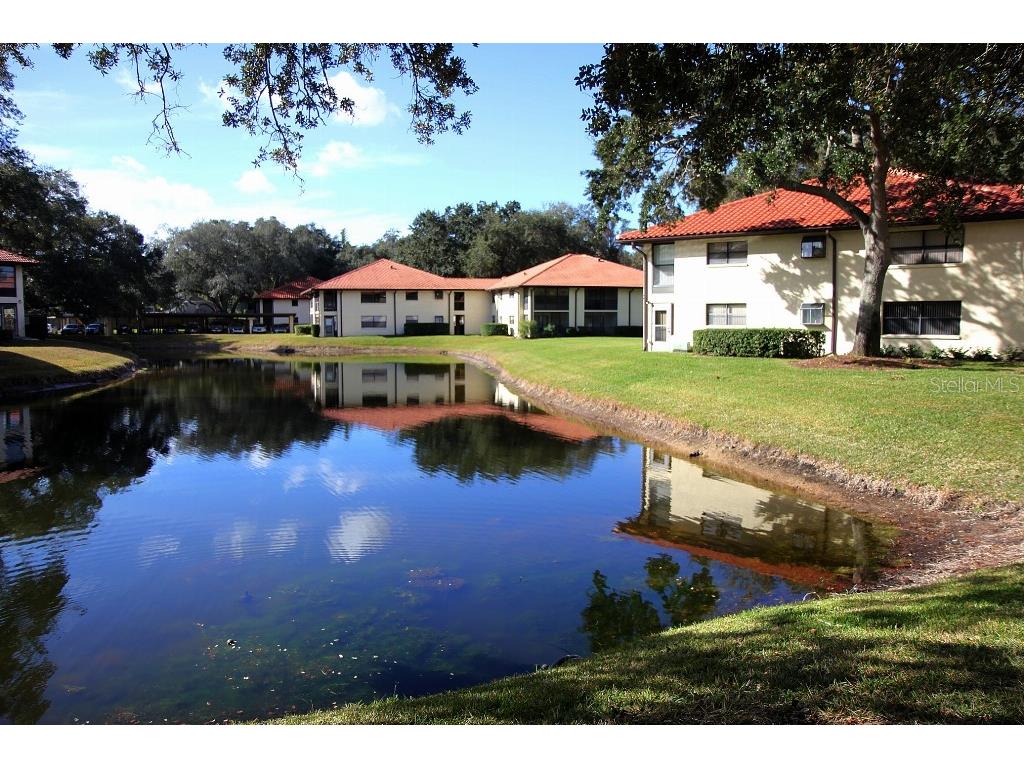 704 Hammock Pine Boulevard #704 Clearwater FL 33761 TB8487177 image42