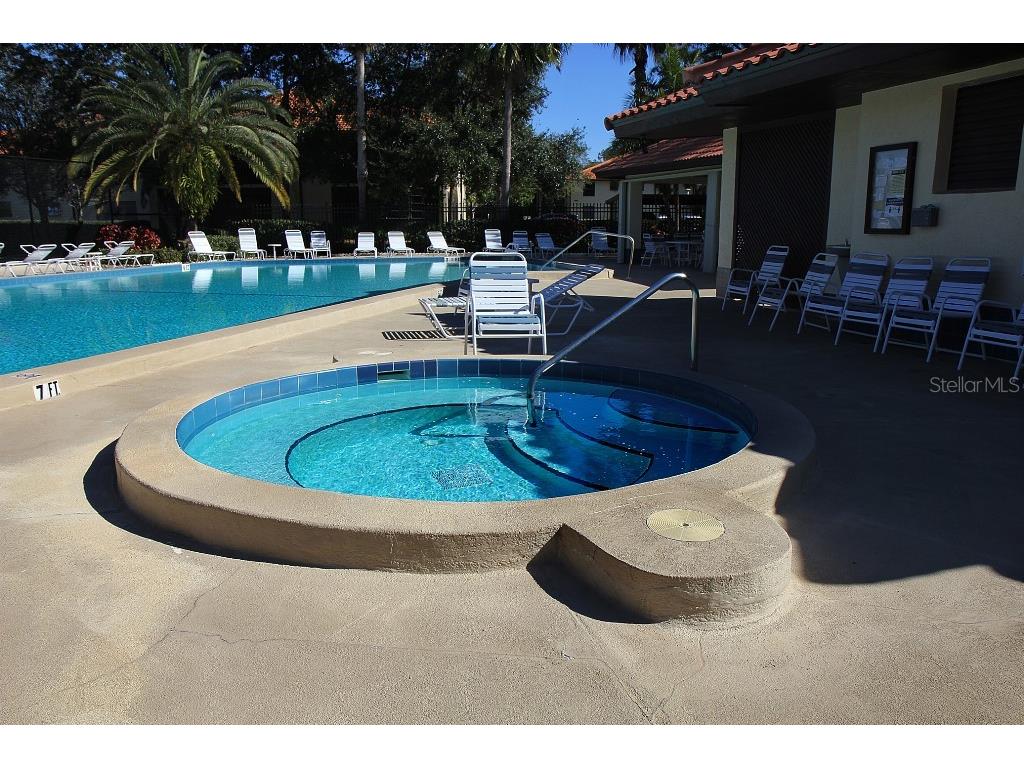 704 Hammock Pine Boulevard #704 Clearwater FL 33761 TB8487177 image45