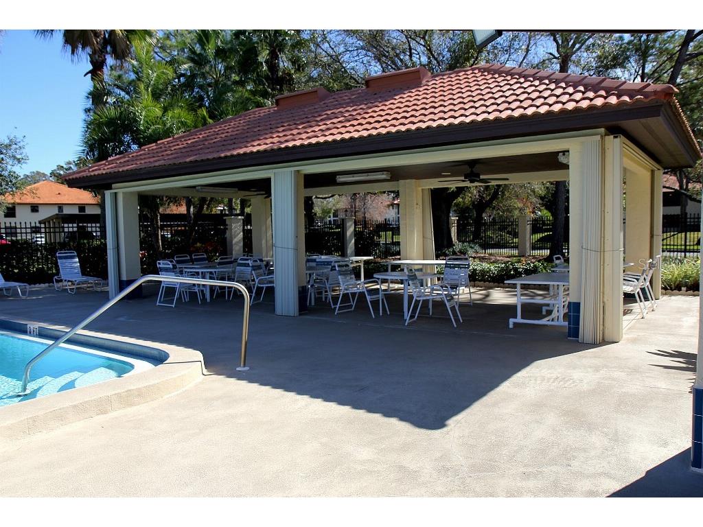 704 Hammock Pine Boulevard #704 Clearwater FL 33761 TB8487177 image46