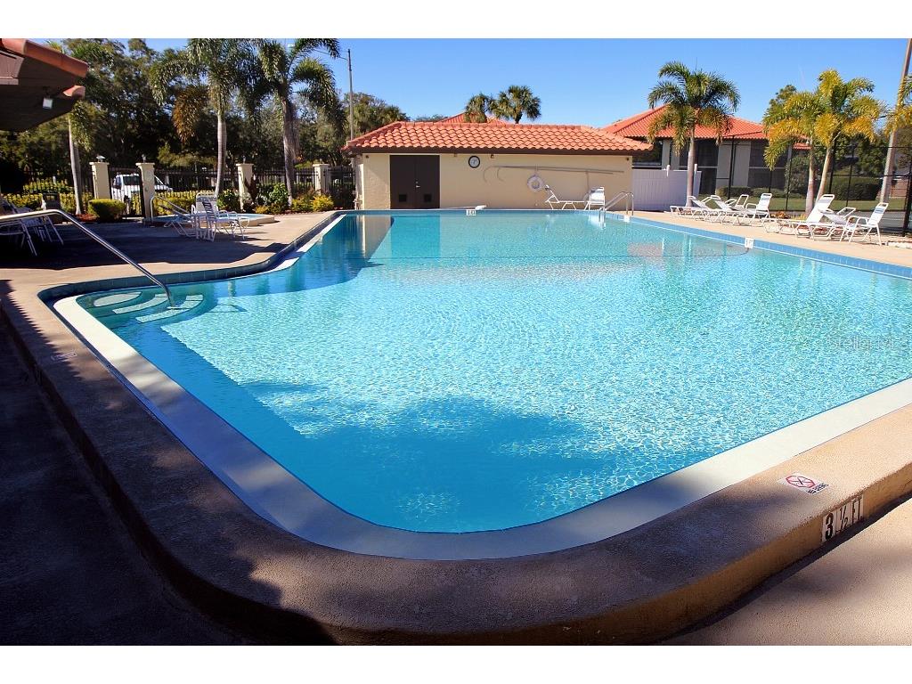 704 Hammock Pine Boulevard #704 Clearwater FL 33761 TB8487177 image48