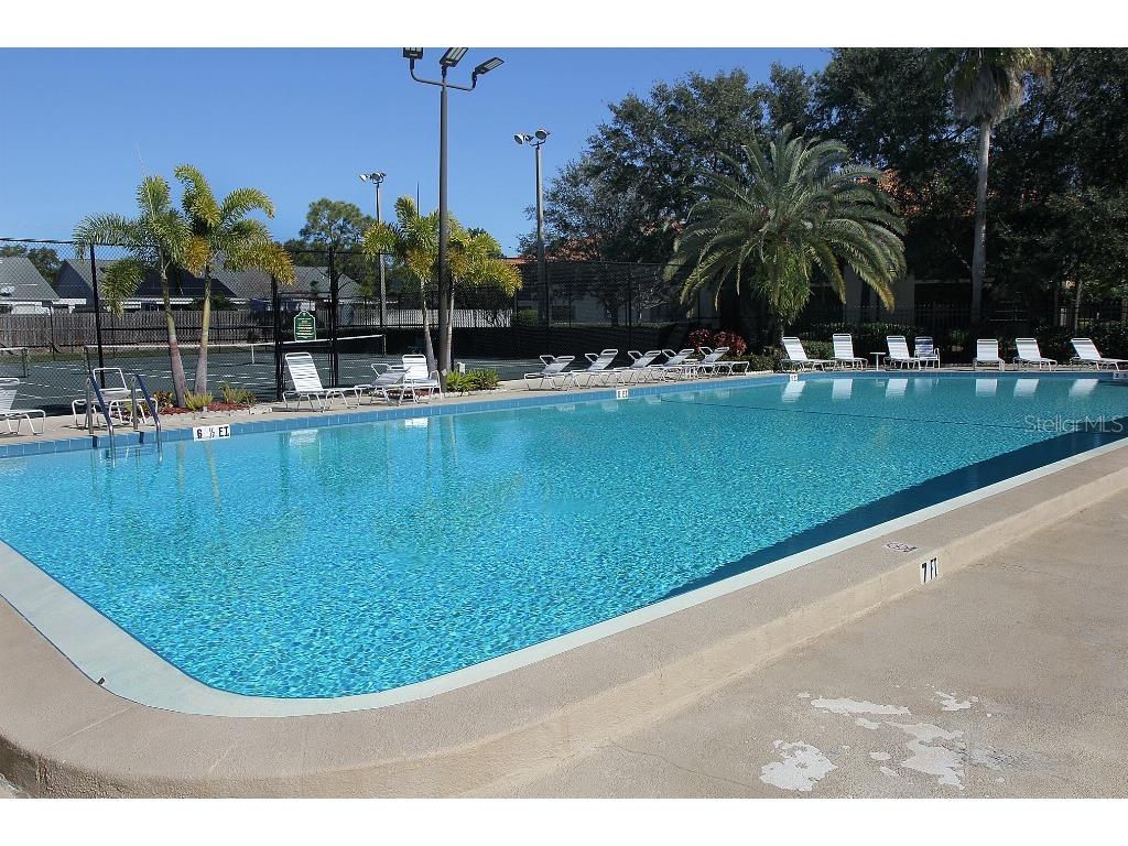 704 Hammock Pine Boulevard #704 Clearwater FL 33761 TB8487177 image49