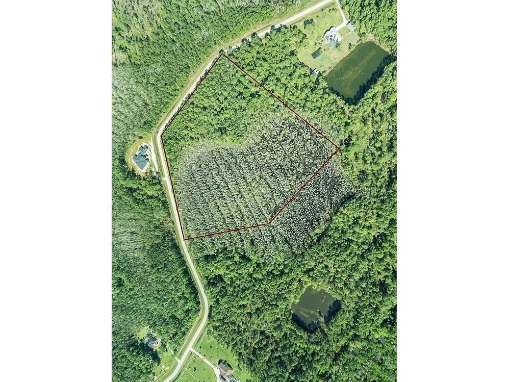 704 Hidden Palms Drive Davenport FL 33897 TB8360313 image1