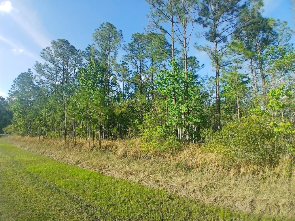 704 Hidden Palms Drive Davenport FL 33897 TB8360313 image10