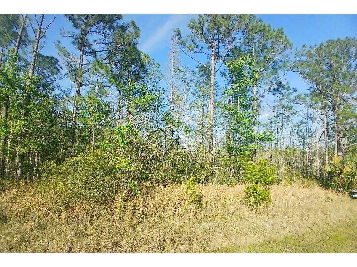 704 Hidden Palms Drive Davenport FL 33897 TB8360313 image11