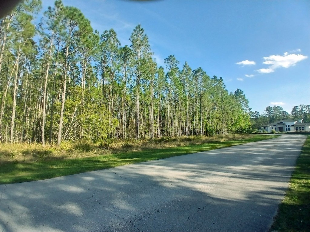 704 Hidden Palms Drive Davenport FL 33897 TB8360313 image12