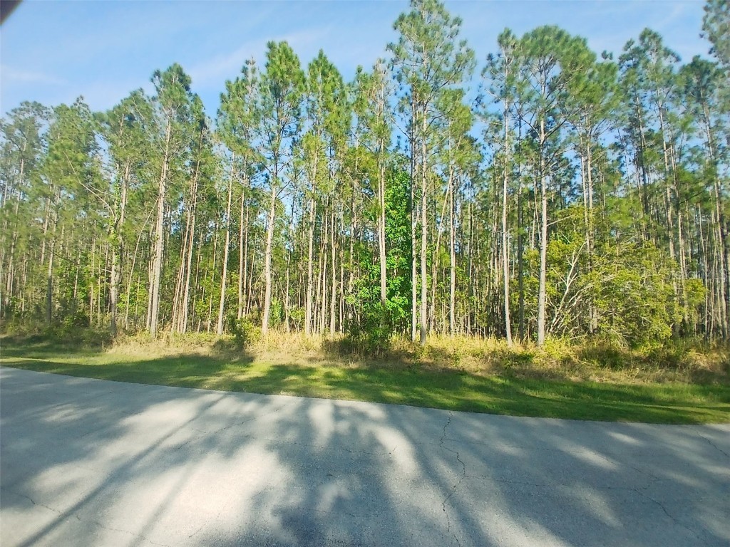 704 Hidden Palms Drive Davenport FL 33897 TB8360313 image13