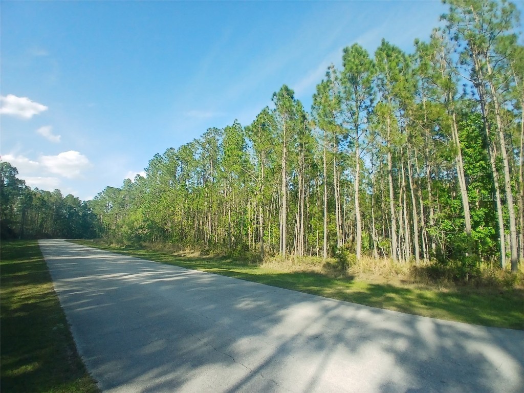 704 Hidden Palms Drive Davenport FL 33897 TB8360313 image14