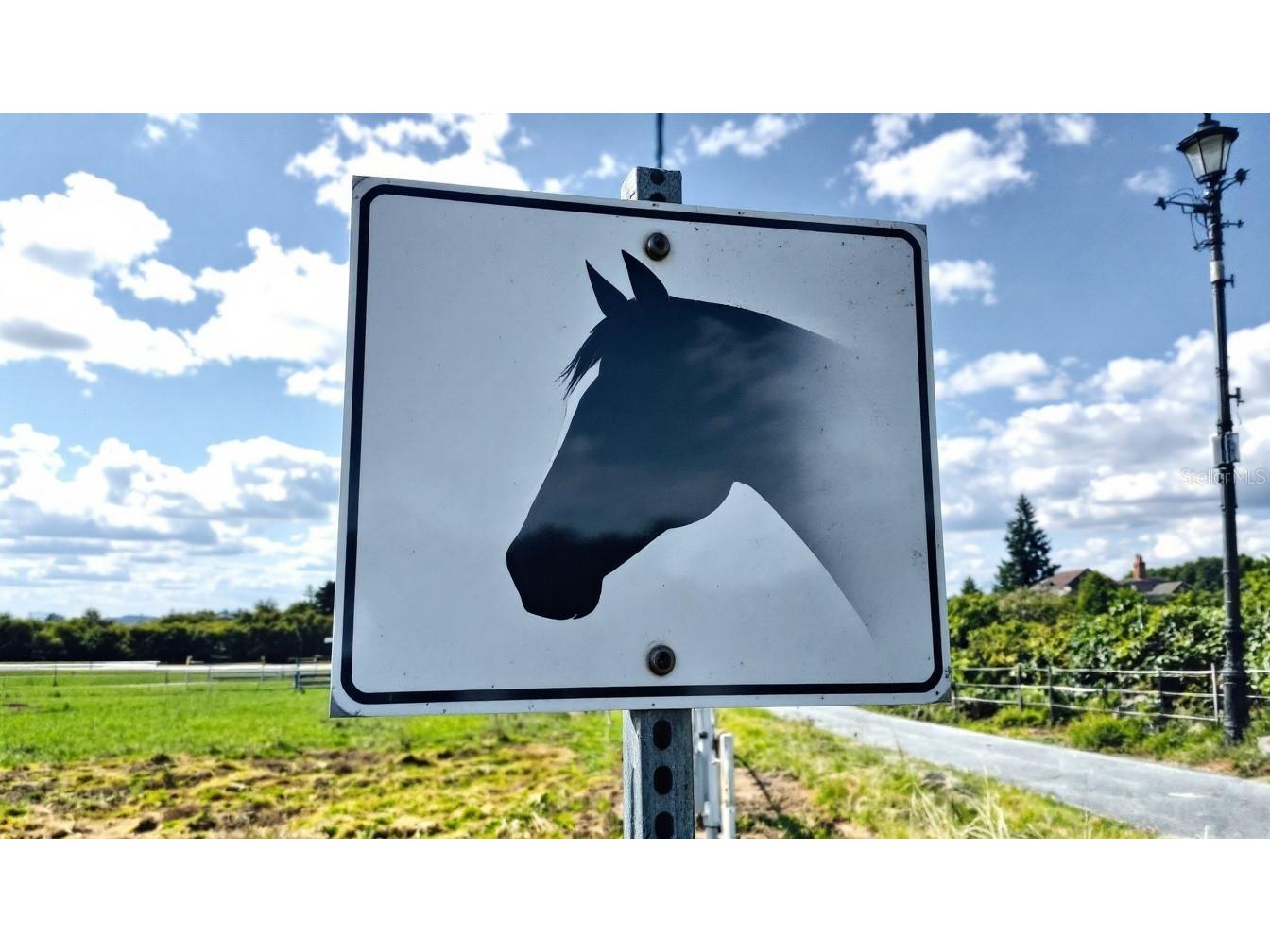 704 Hidden Palms Drive Davenport FL 33897 TB8360313 image17