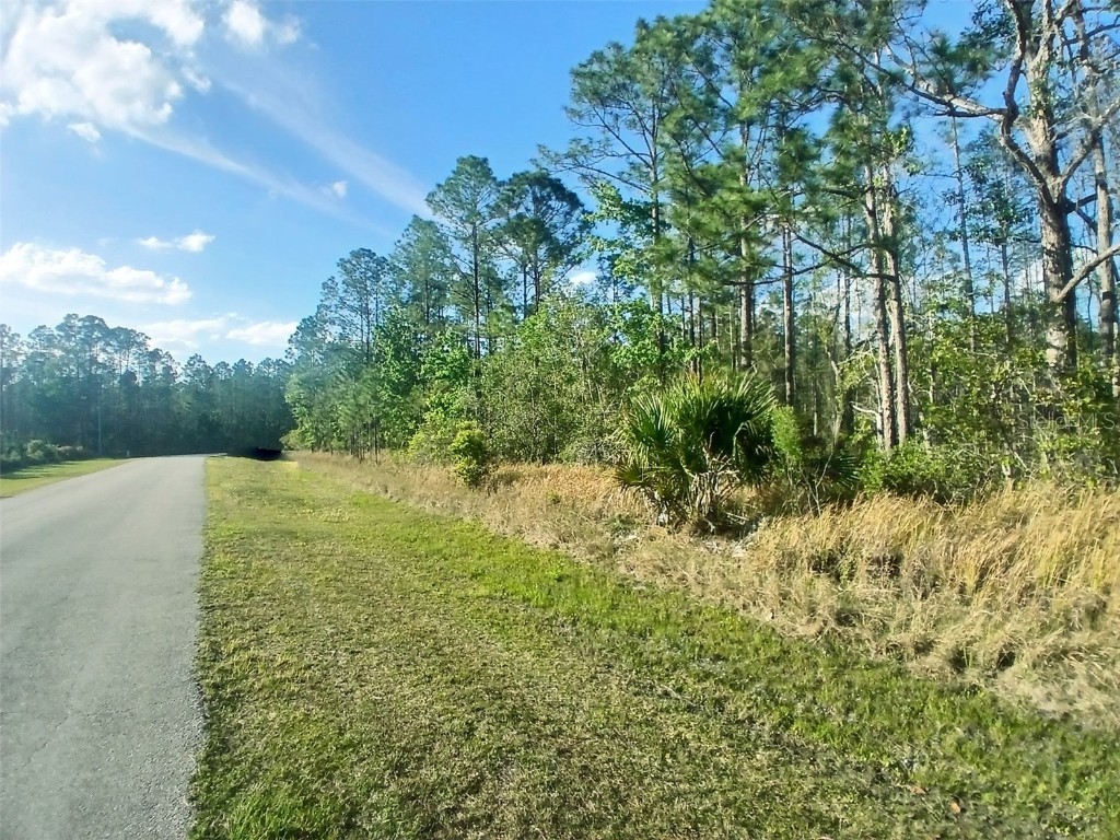 704 Hidden Palms Drive Davenport FL 33897 TB8360313 image2