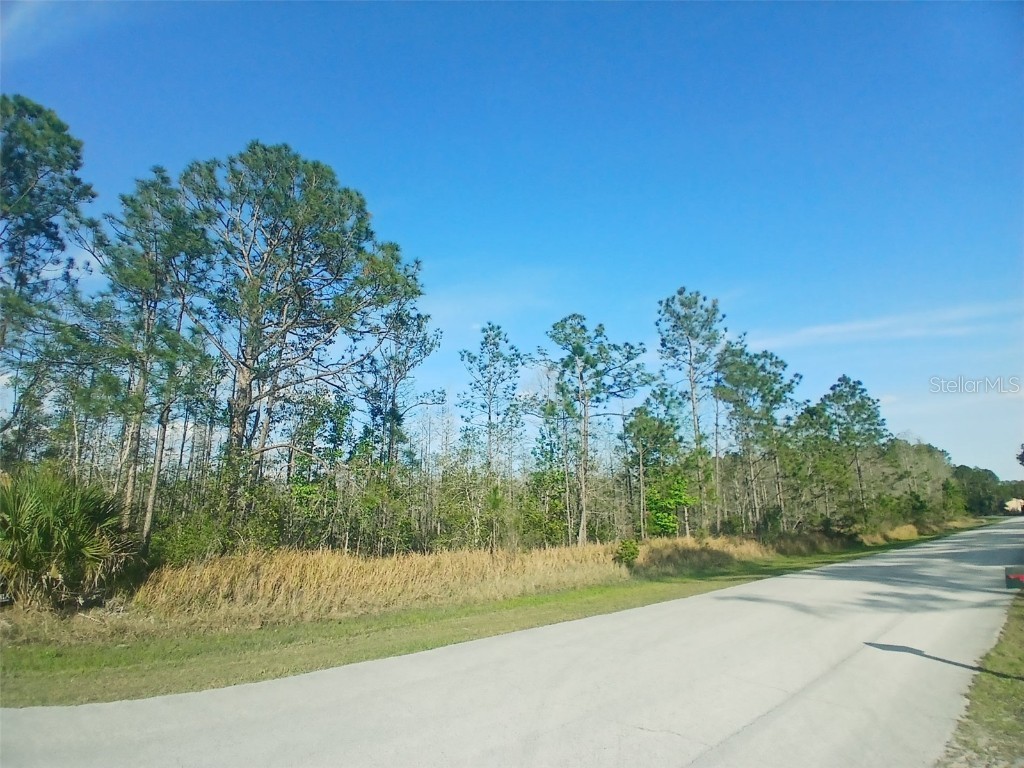 704 Hidden Palms Drive Davenport FL 33897 TB8360313 image6