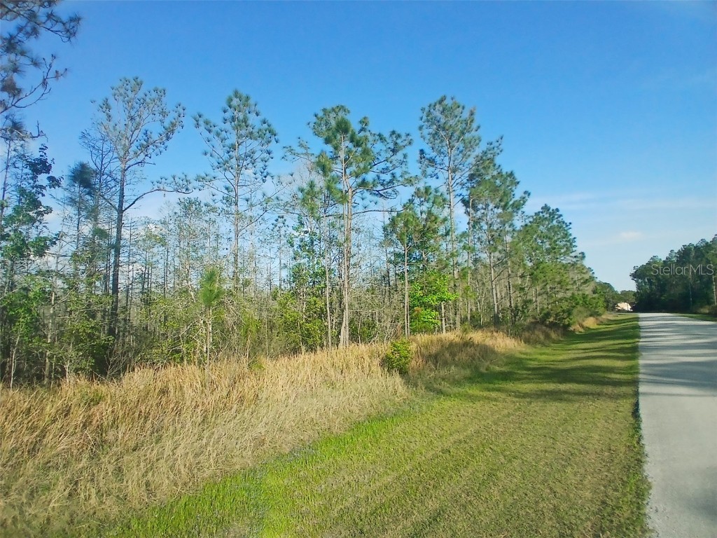 704 Hidden Palms Drive Davenport FL 33897 TB8360313 image8