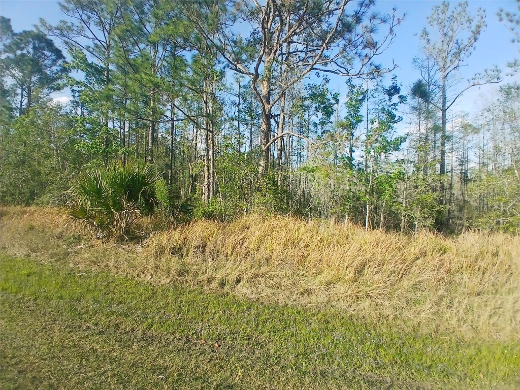 704 Hidden Palms Drive Davenport FL 33897 TB8360313 image9