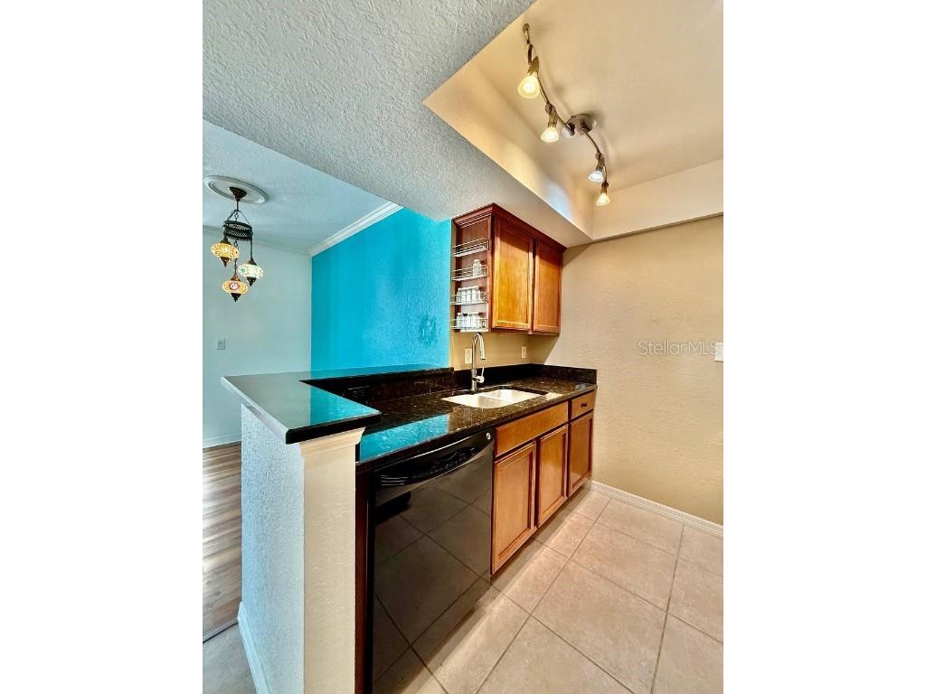 704 Lyndhurst Street #624 Dunedin FL 34698 TB8443526 image12