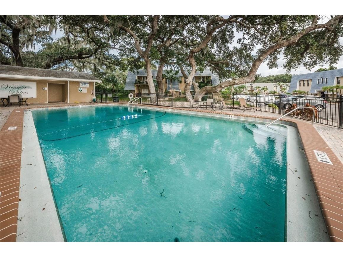 704 Lyndhurst Street #624 Dunedin FL 34698 TB8443526 image28