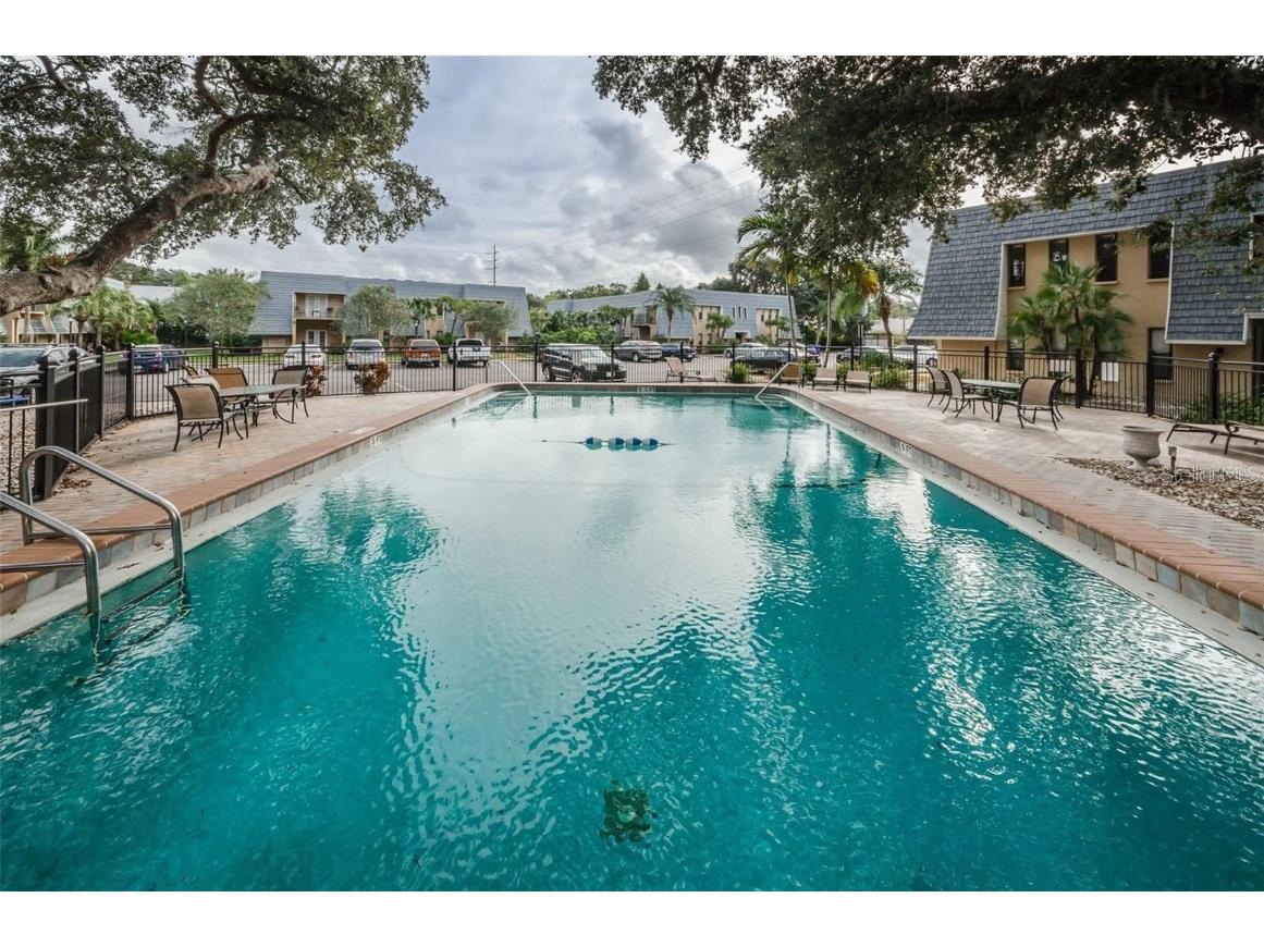 704 Lyndhurst Street #624 Dunedin FL 34698 TB8443526 image29