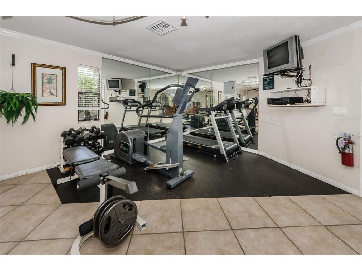 704 Lyndhurst Street #624 Dunedin FL 34698 TB8443526 image32