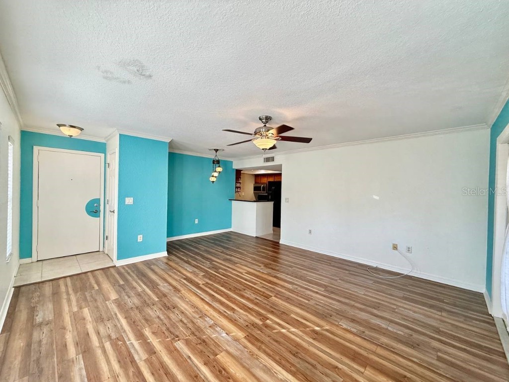 704 Lyndhurst Street #624 Dunedin FL 34698 TB8443526 image6