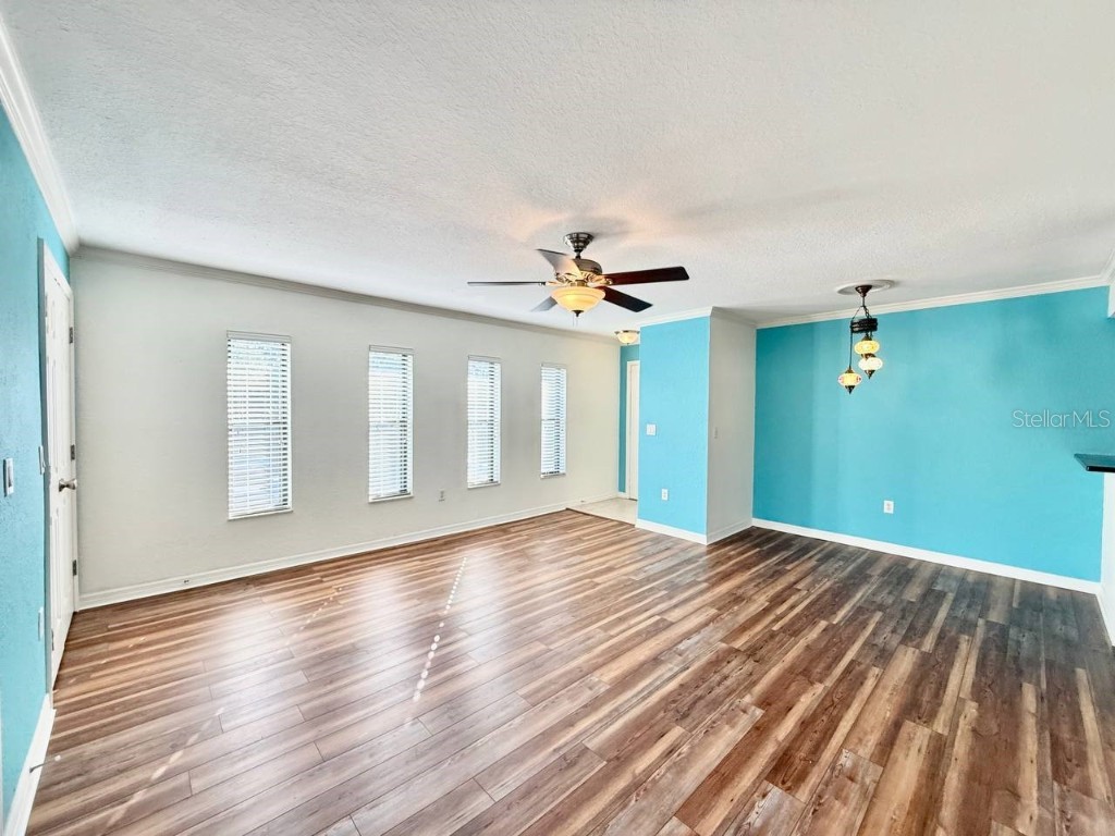 704 Lyndhurst Street #624 Dunedin FL 34698 TB8443526 image7