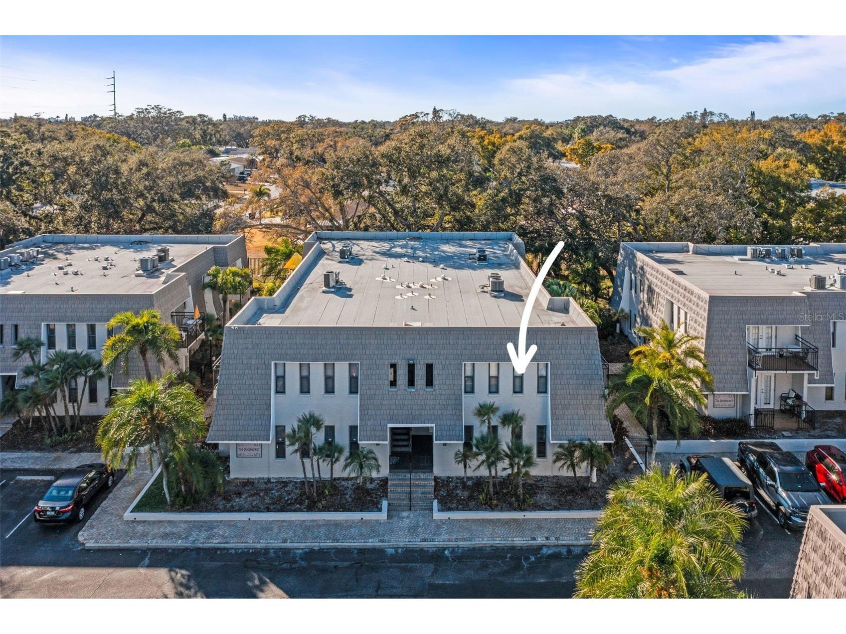 704 Lyndhurst Street #624 Dunedin FL 34698 TB8476462 image1
