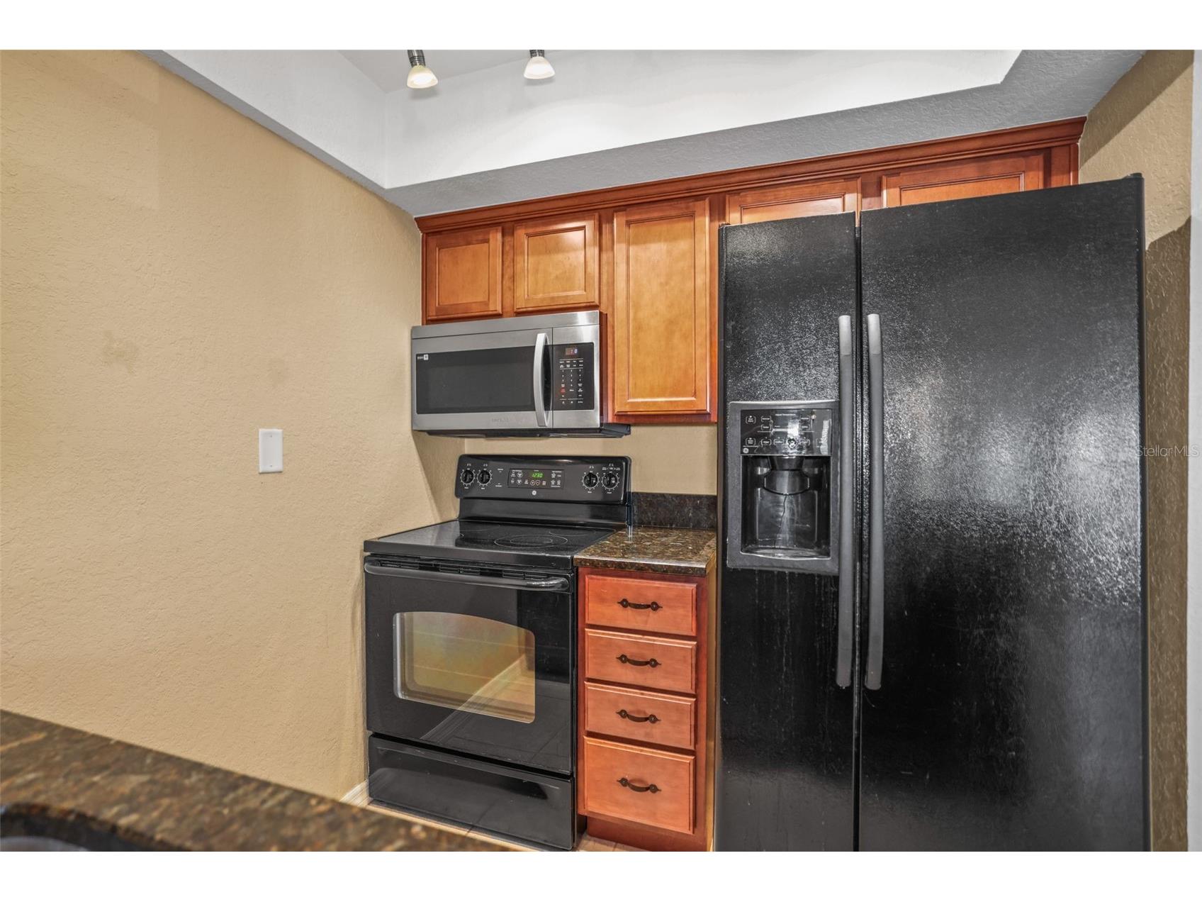704 Lyndhurst Street #624 Dunedin FL 34698 TB8476462 image10