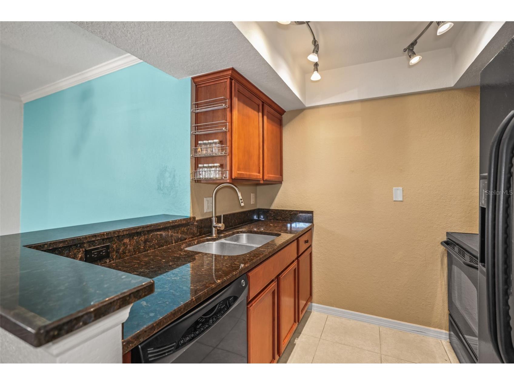 704 Lyndhurst Street #624 Dunedin FL 34698 TB8476462 image11