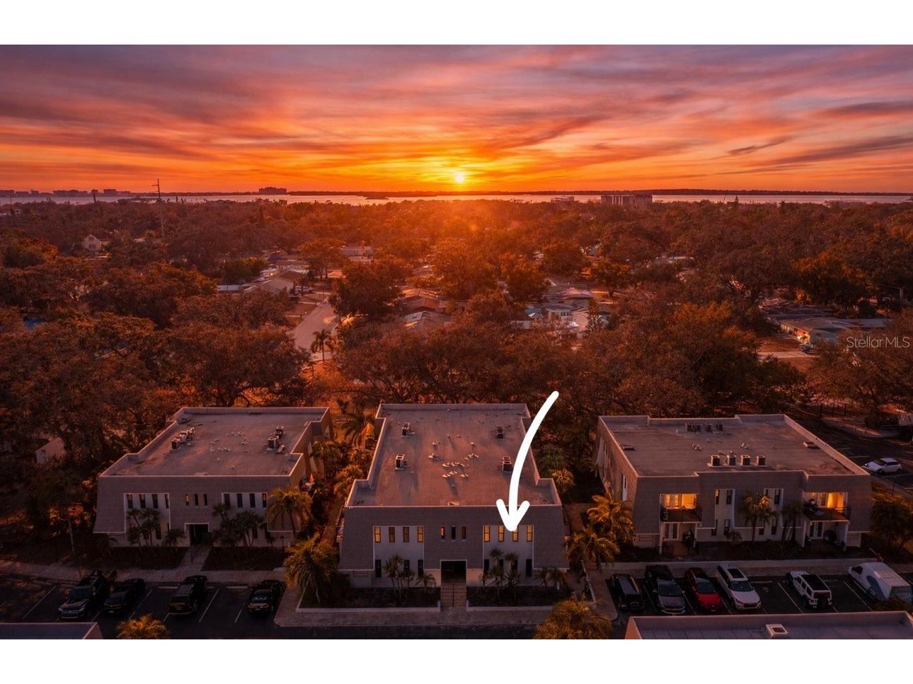 704 Lyndhurst Street #624 Dunedin FL 34698 TB8476462 image2