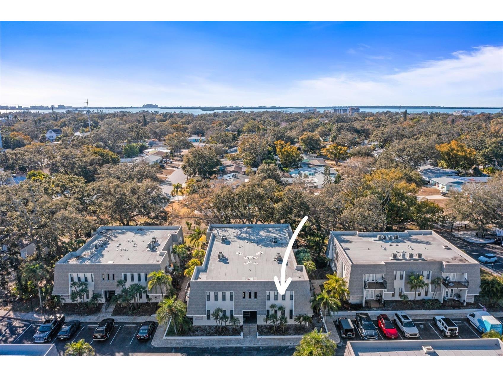 704 Lyndhurst Street #624 Dunedin FL 34698 TB8476462 image32
