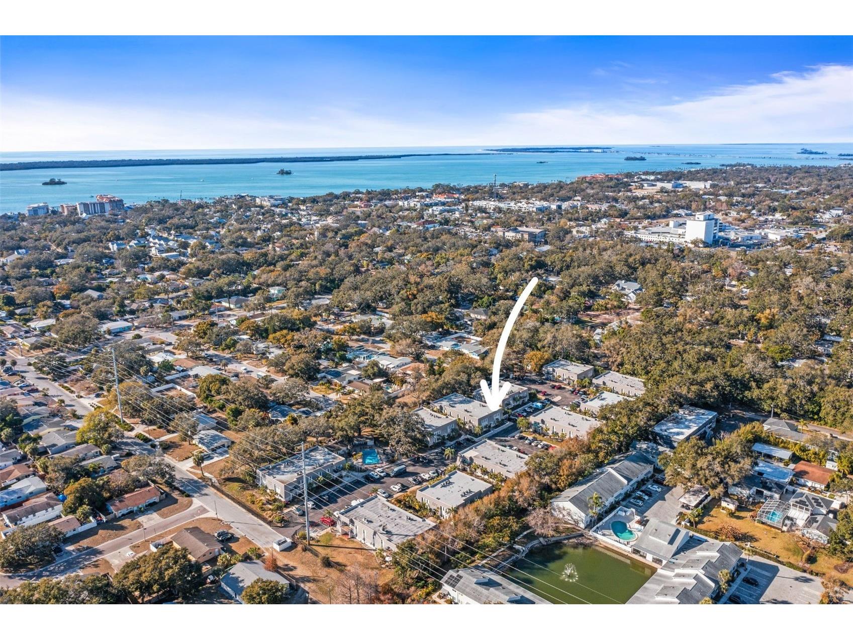 704 Lyndhurst Street #624 Dunedin FL 34698 TB8476462 image33