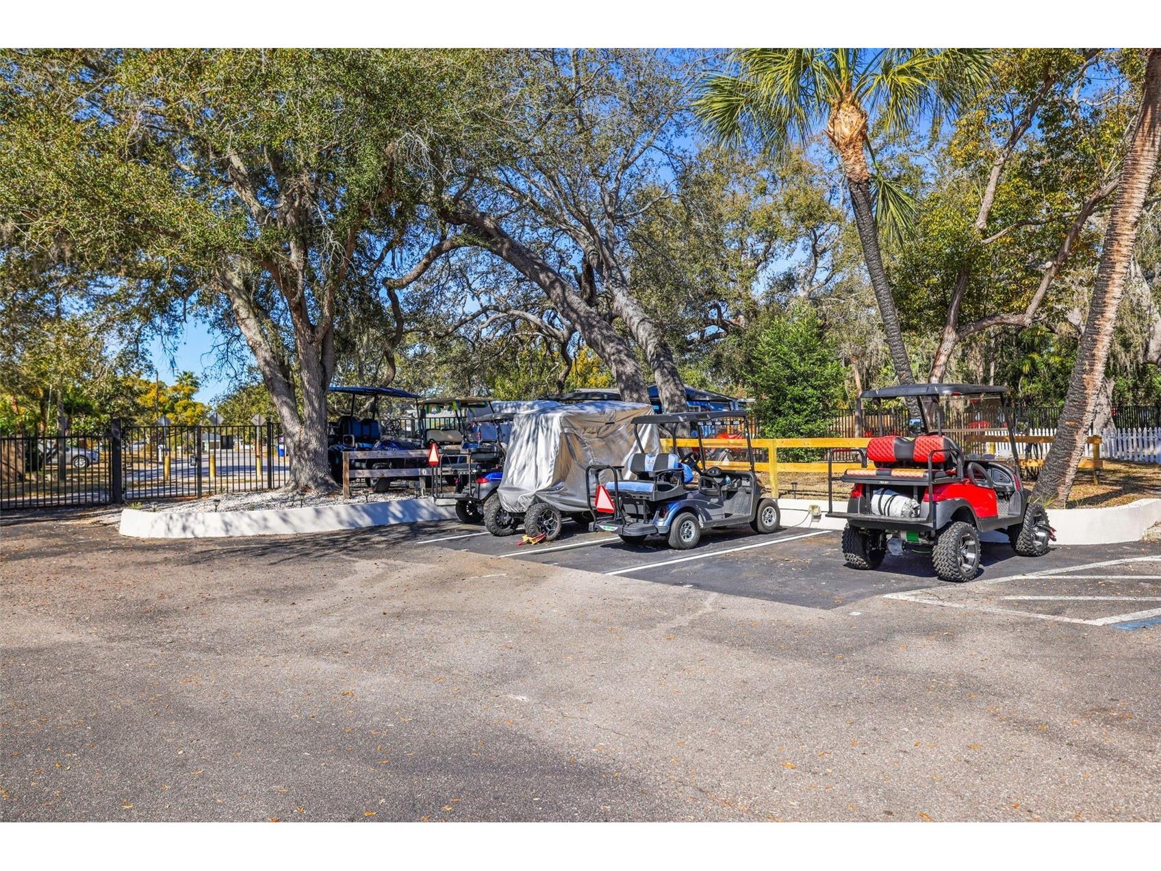 704 Lyndhurst Street #624 Dunedin FL 34698 TB8476462 image34