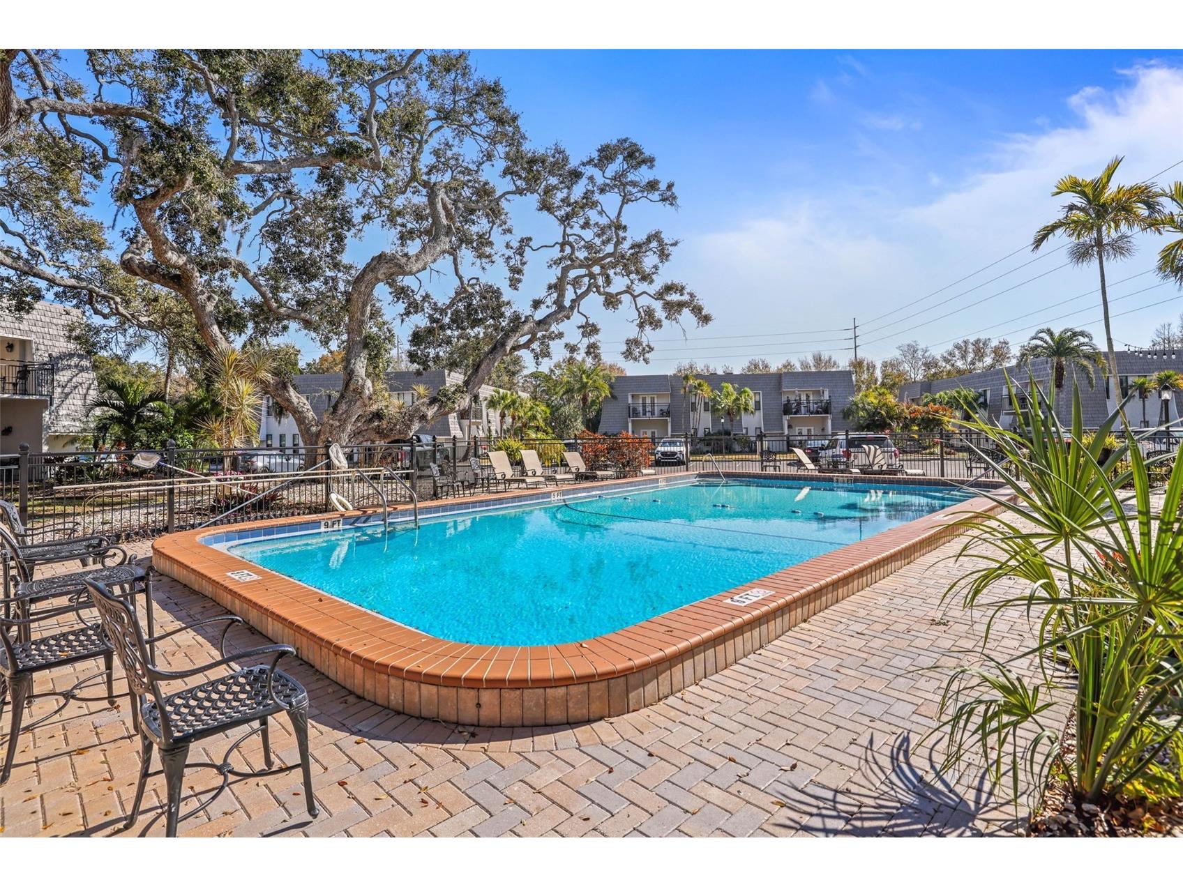 704 Lyndhurst Street #624 Dunedin FL 34698 TB8476462 image41