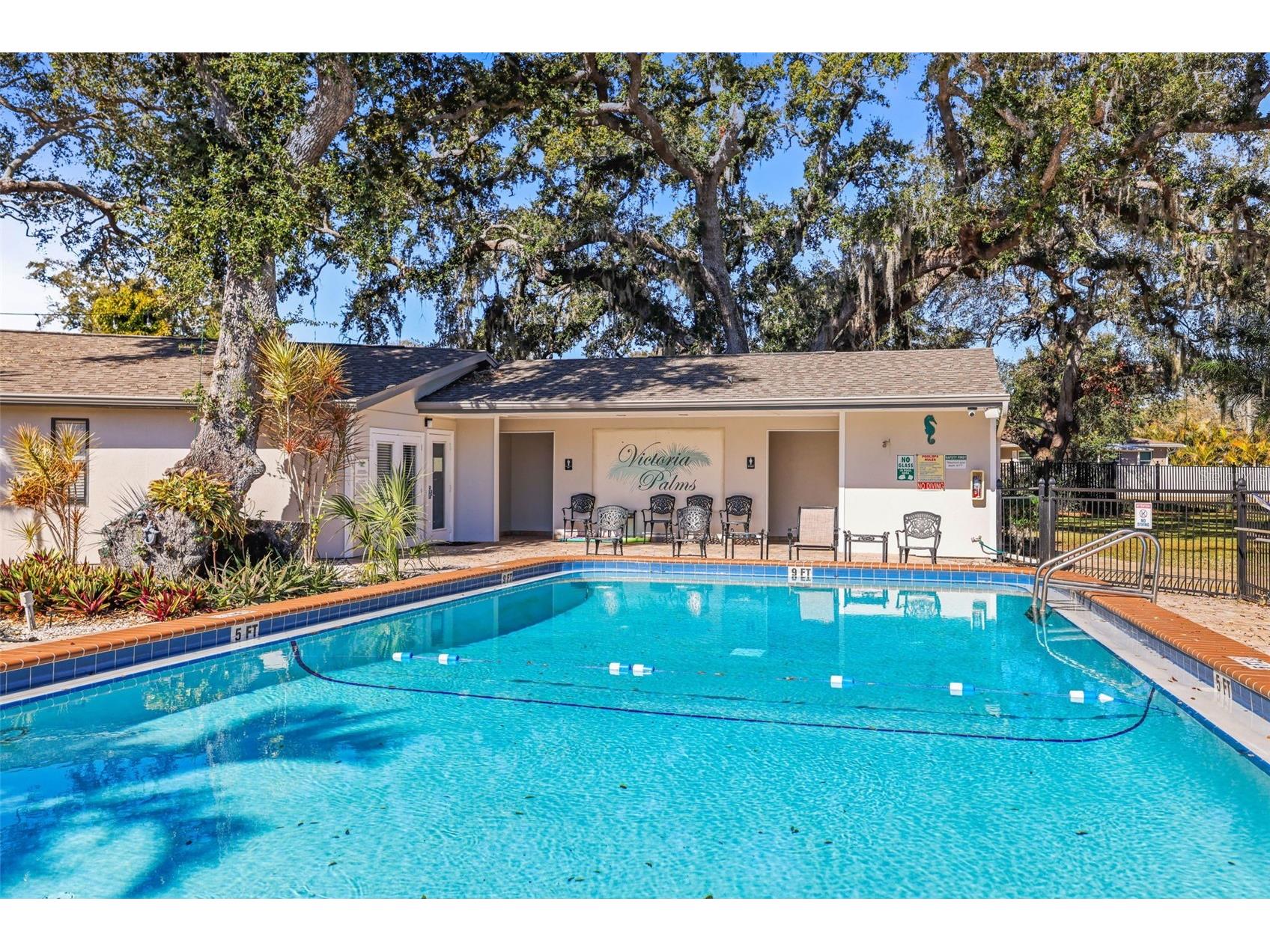 704 Lyndhurst Street #624 Dunedin FL 34698 TB8476462 image43