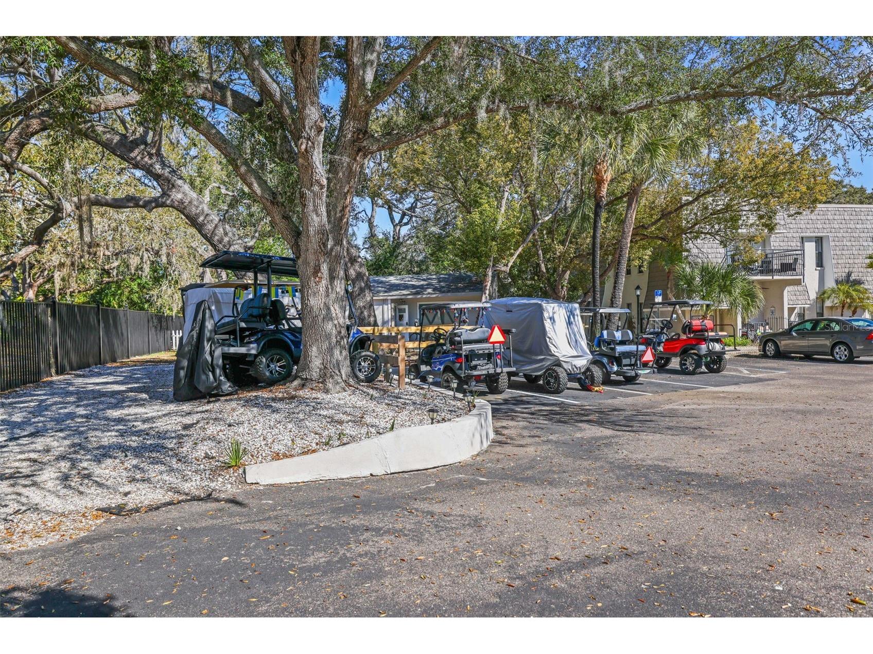 704 Lyndhurst Street #624 Dunedin FL 34698 TB8476462 image45