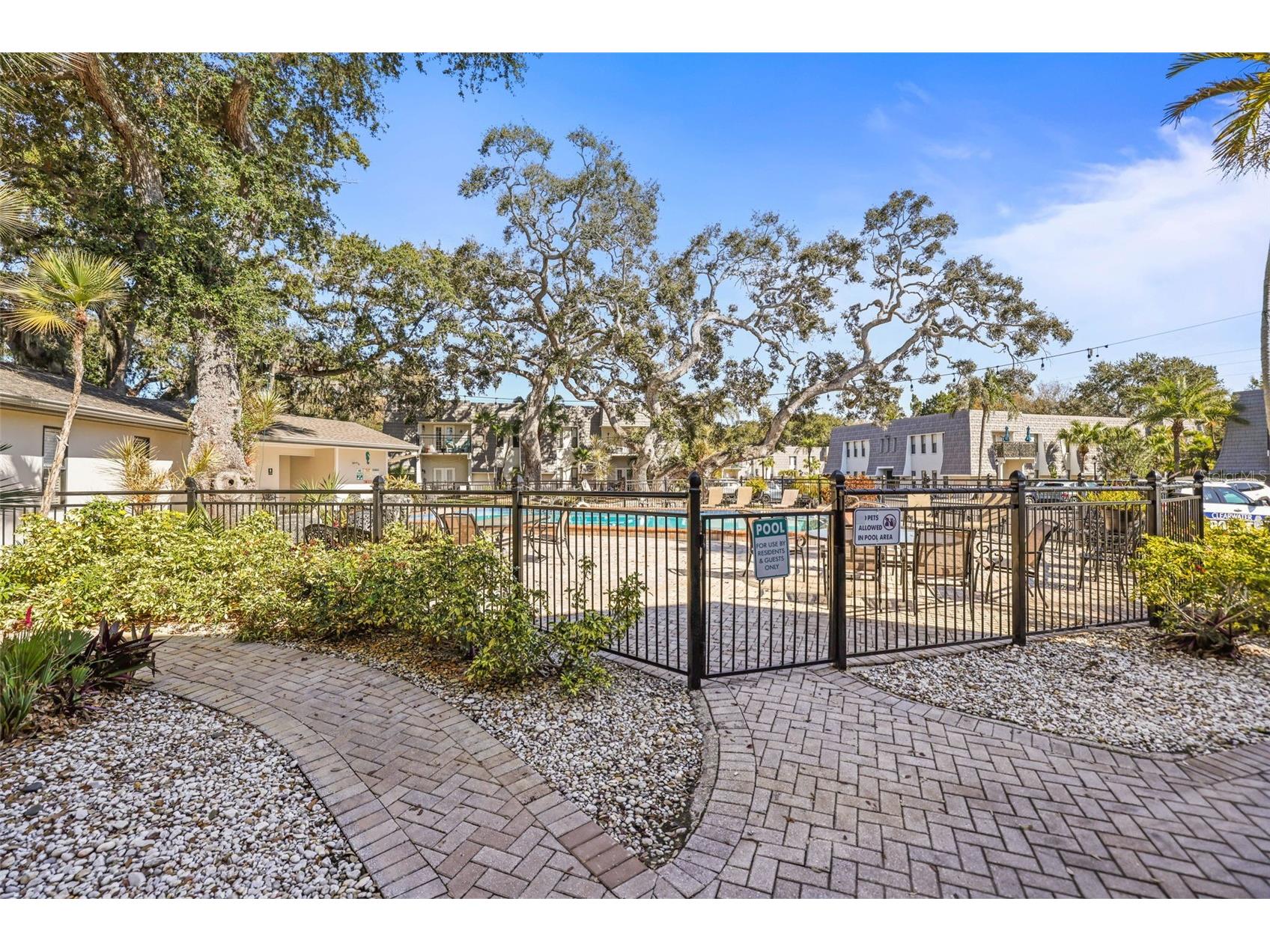 704 Lyndhurst Street #624 Dunedin FL 34698 TB8476462 image46