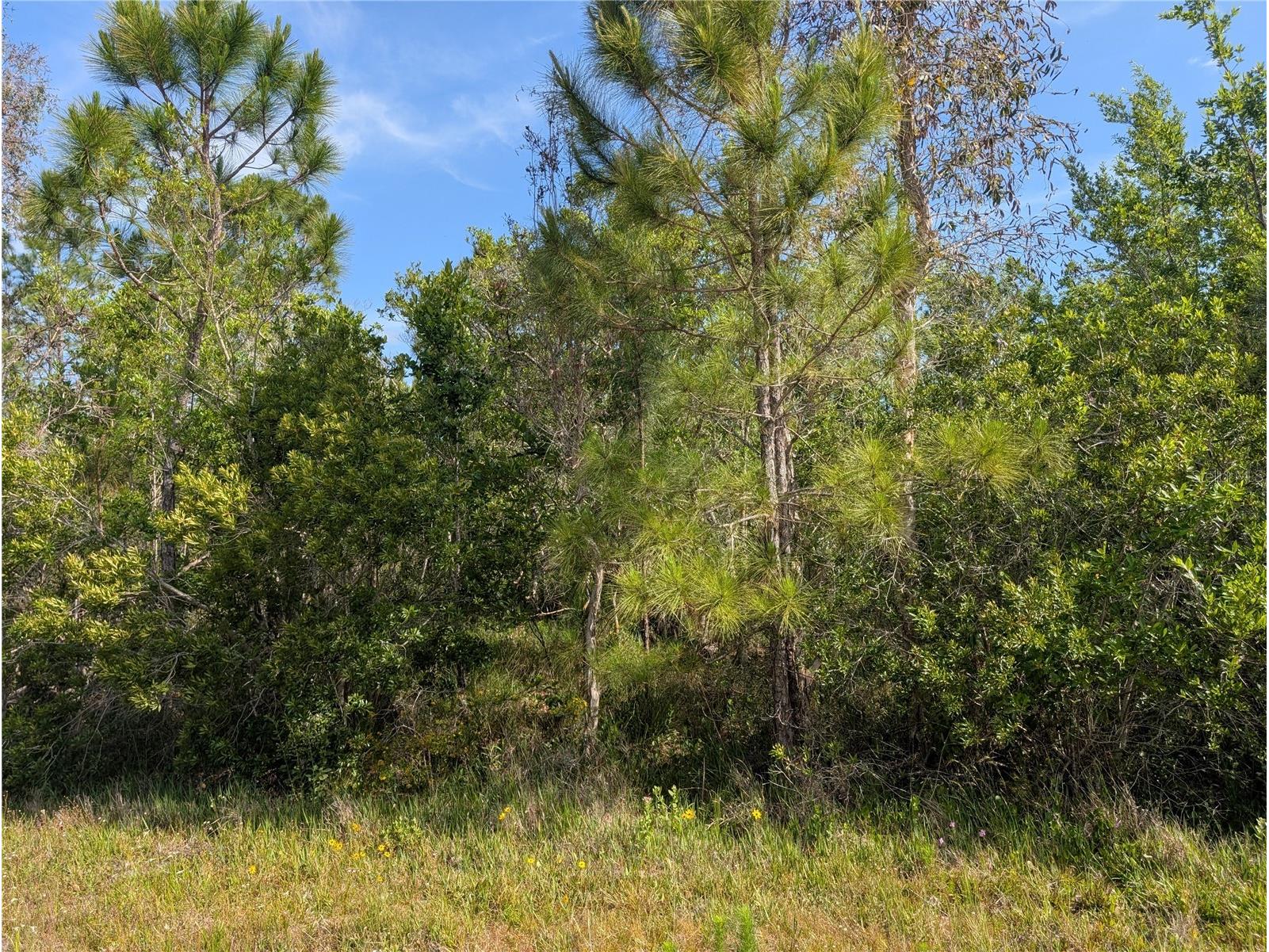 704 Orchid Drive Indian Lake Estates FL 33855 - LAKE WALK-IN-WATER P4938629 image1