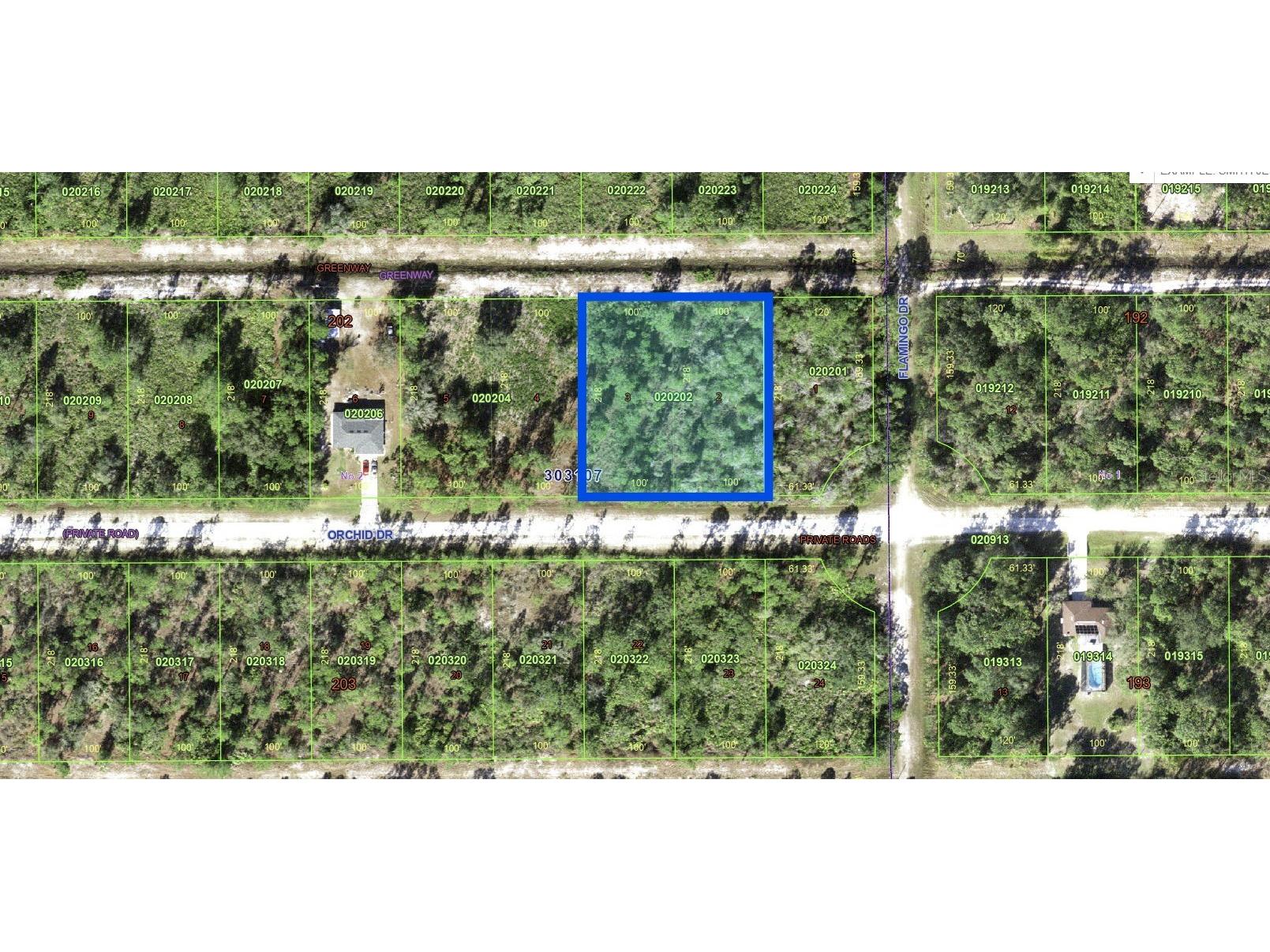 704 Orchid Drive Indian Lake Estates FL 33855 - LAKE WALK-IN-WATER P4938629 image3