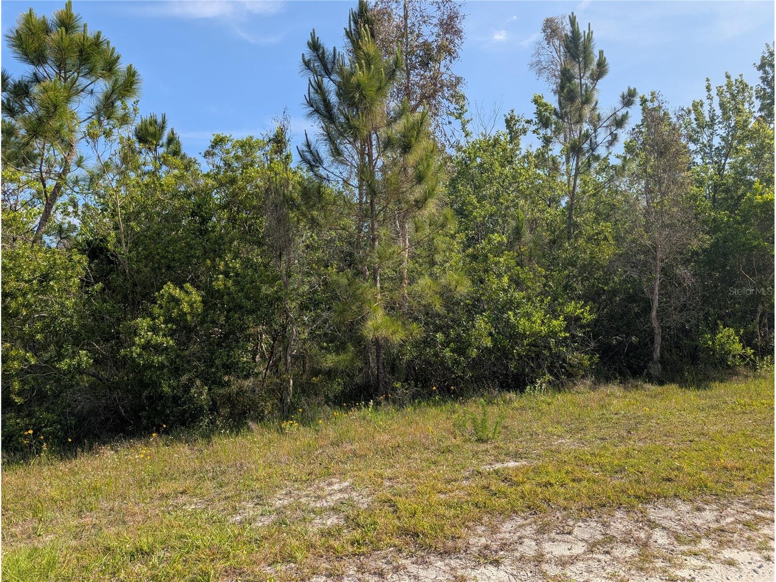 704 Orchid Drive Indian Lake Estates FL 33855 - LAKE WALK-IN-WATER P4938629 image4