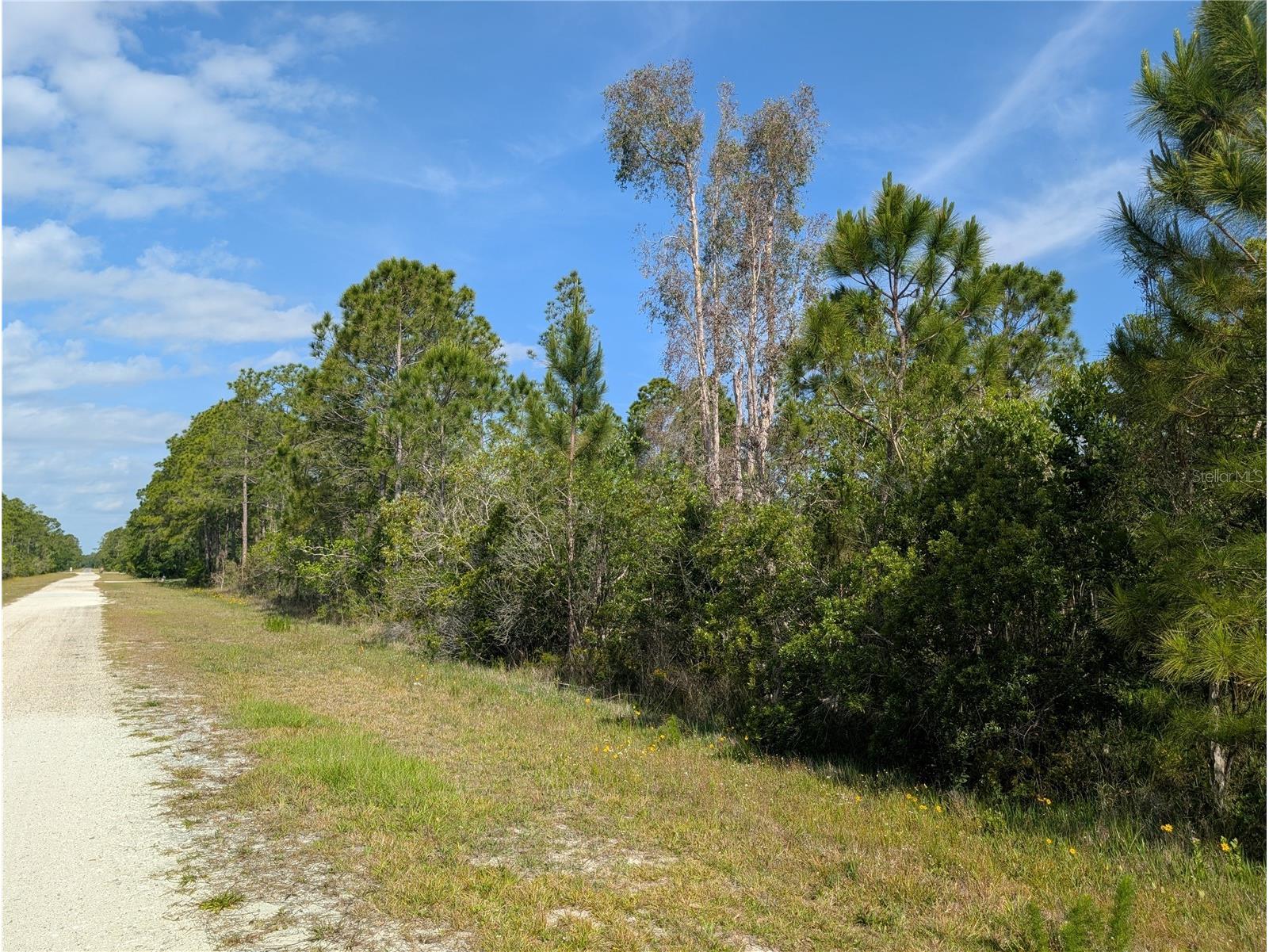 704 Orchid Drive Indian Lake Estates FL 33855 - LAKE WALK-IN-WATER P4938629 image6