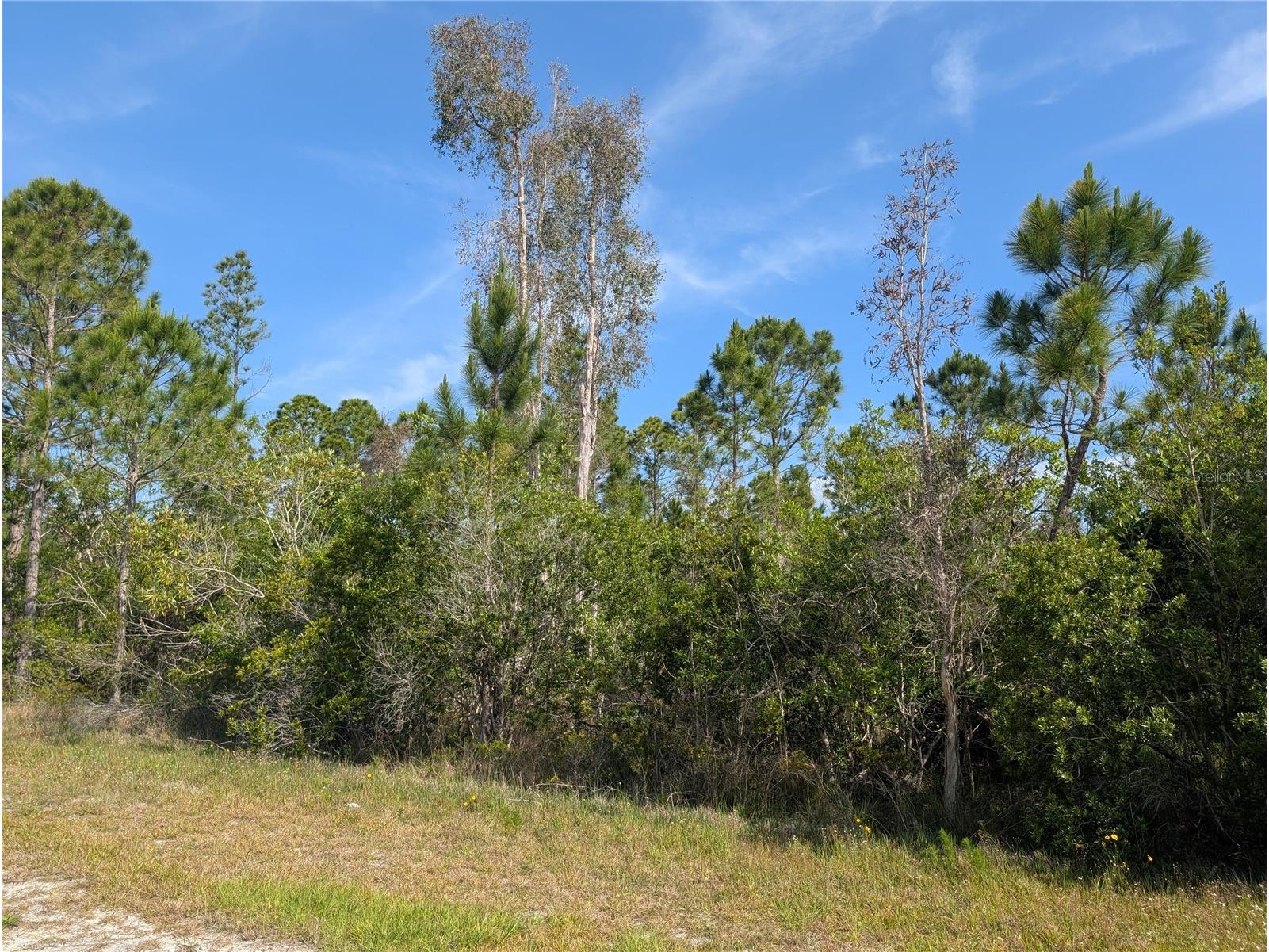 704 Orchid Drive Indian Lake Estates FL 33855 - LAKE WALK-IN-WATER P4938629 image7