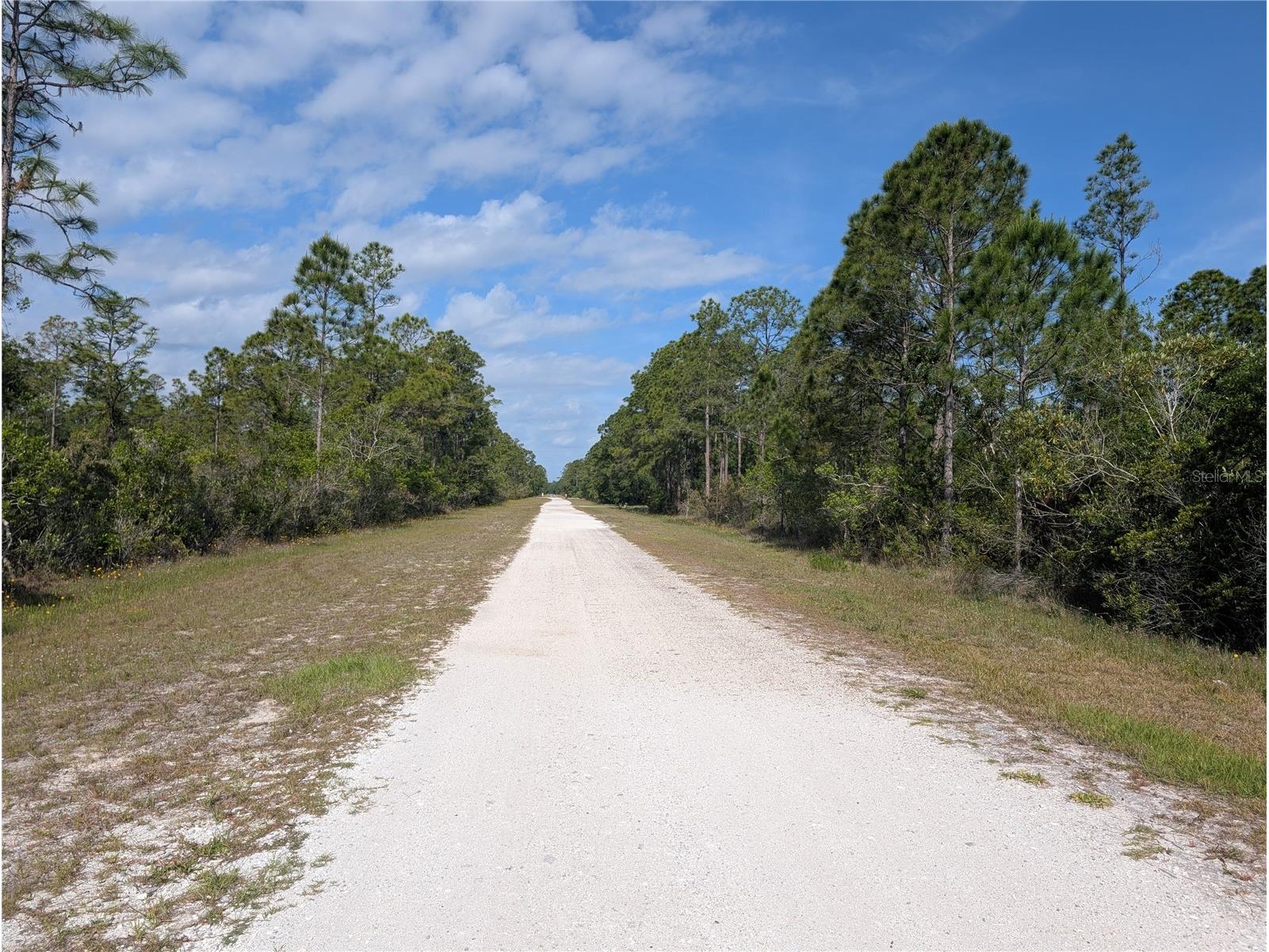 704 Orchid Drive Indian Lake Estates FL 33855 - LAKE WALK-IN-WATER P4938629 image8