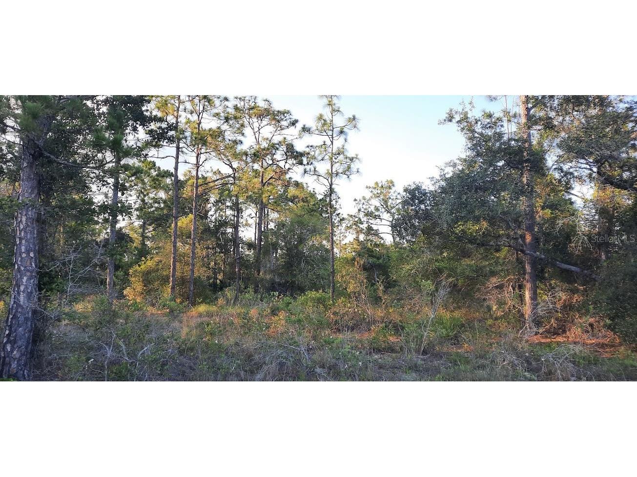 704 Plumosa Drive Indian Lake Estates FL 33855 - LAKE WALK -IN-WATER TB8397677 image1