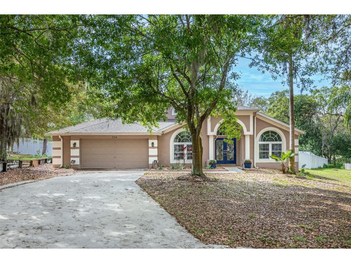 704 Rocky Mountain Court Valrico FL 33594 T3510094 image1