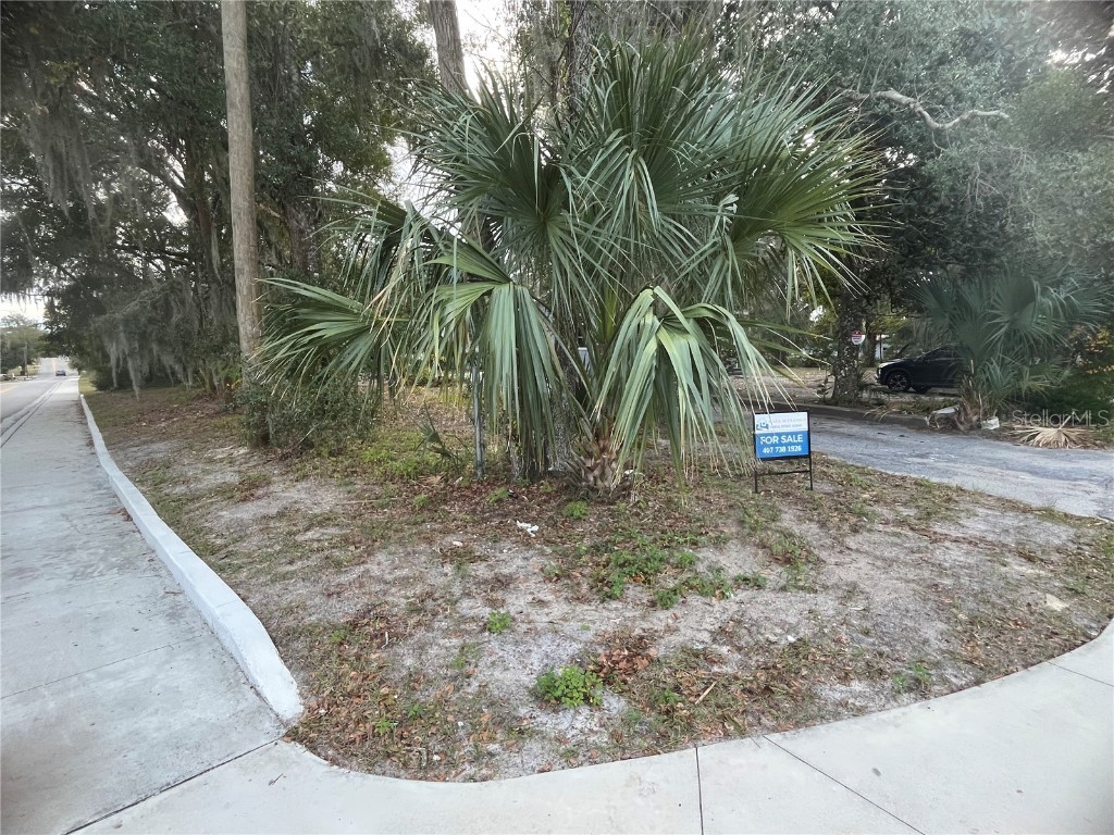 704 W Euclid Avenue Deland FL 32720 S5140364 image19