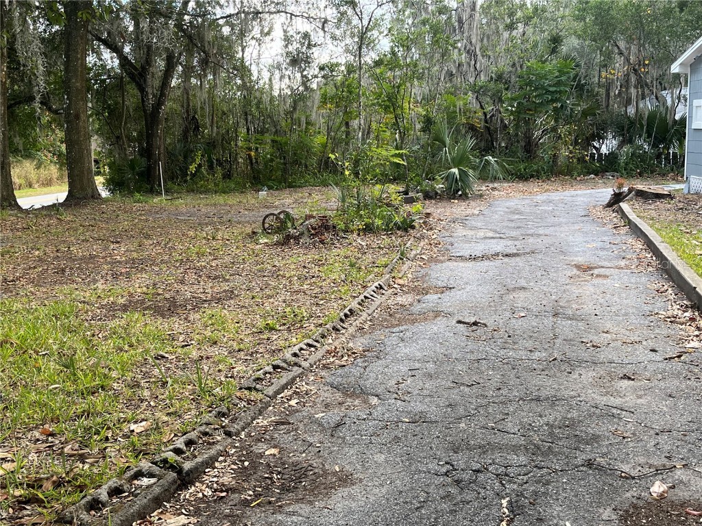 704 W Euclid Avenue Deland FL 32720 S5140364 image4