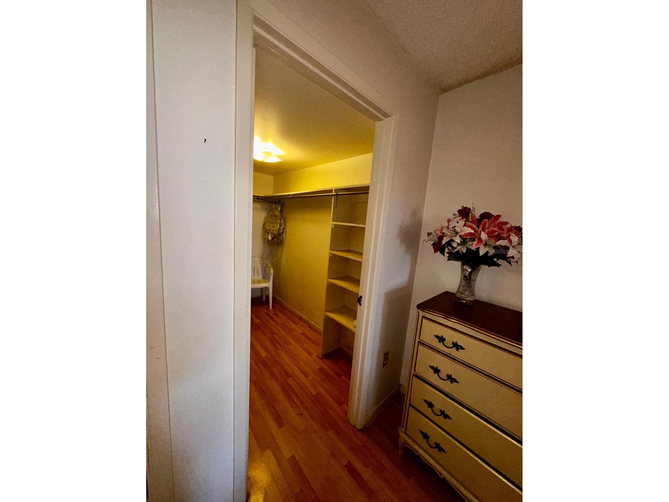 7040 Cognac Drive #1 New Port Richey FL 34653 TB8463392 image28